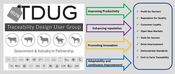 graphical user interface, text